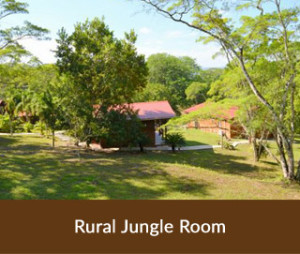 Rural Jungle room